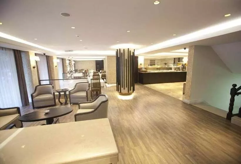 Fotos del hotel Grand Laleli:  12