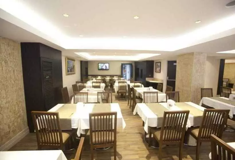 Fotos del hotel Grand Laleli:  13