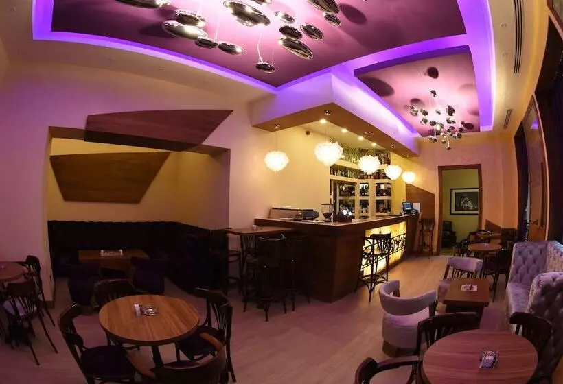 Fotos del hotel City Savoy:  11