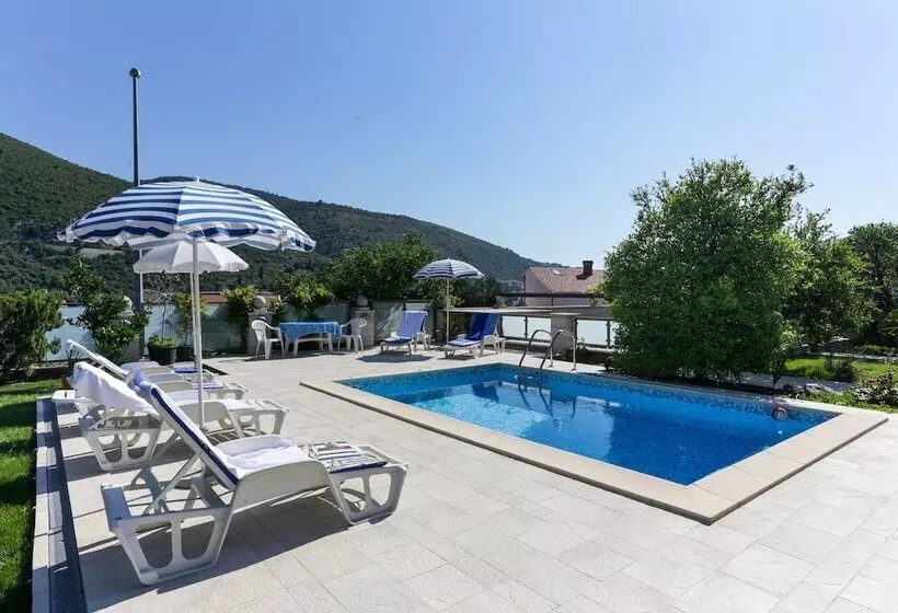 Fotos del hotel Villa Celenca:  7