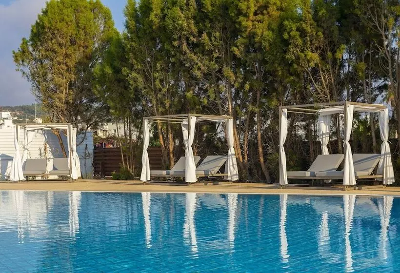Fotos del hotel Leonardo Crystal Cove Hotel & Spa – Adults Only:  24