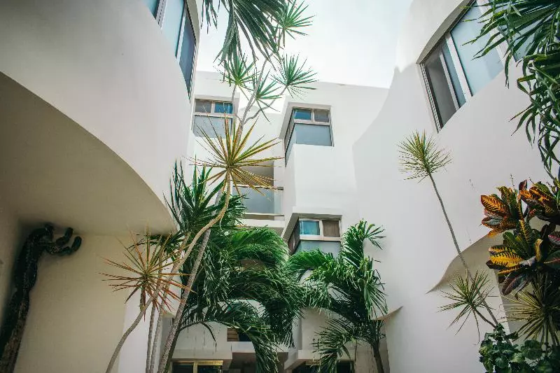 Luxury Apartments