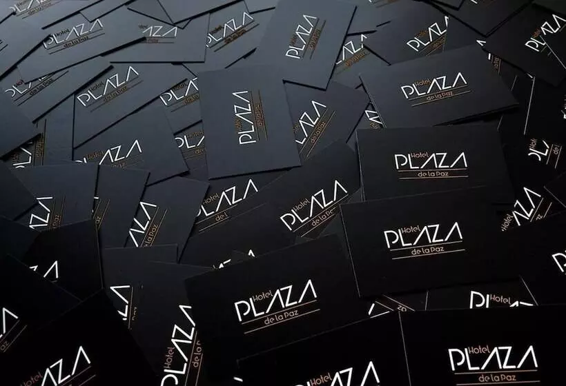 Fotos del hotel Plaza De La Paz:  6