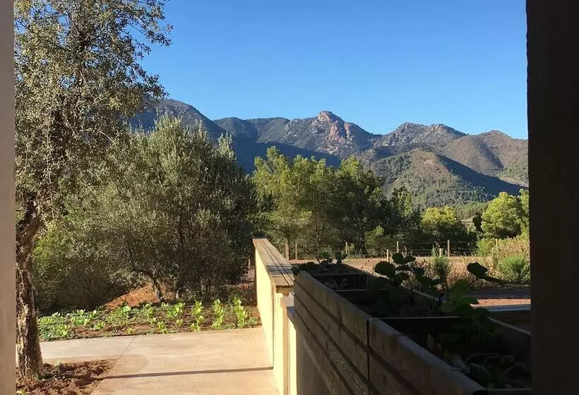 Fotos del hotel Mar De Fulles:  2