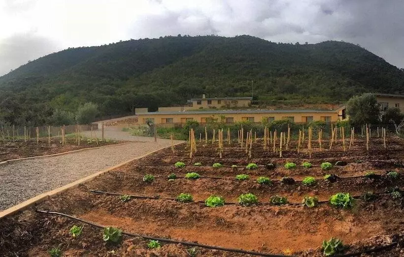Fotos del hotel Mar De Fulles:  7