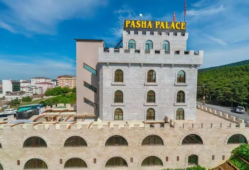Fotos del hotel Pasha Palace:  5