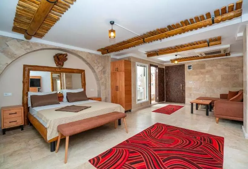 Fotos del hotel Pasha Palace:  2