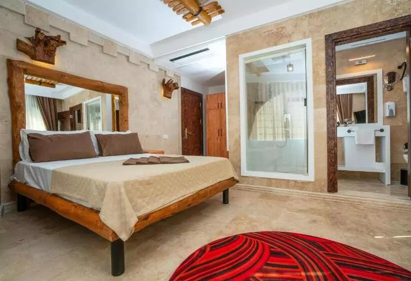 Fotos del hotel Pasha Palace:  16