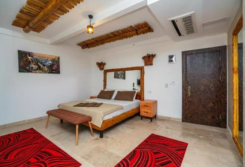 Fotos del hotel Pasha Palace:  6