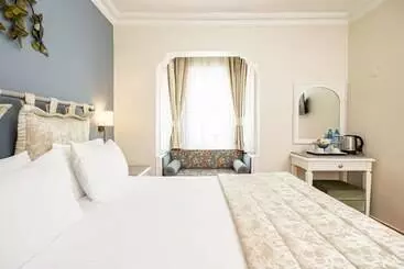 Alzer Hotel Special Class - Estambul