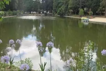 Alojamiento con encanto - Pedras Salgadas