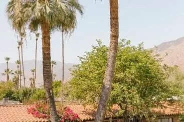 Les Cactus - Palm Springs