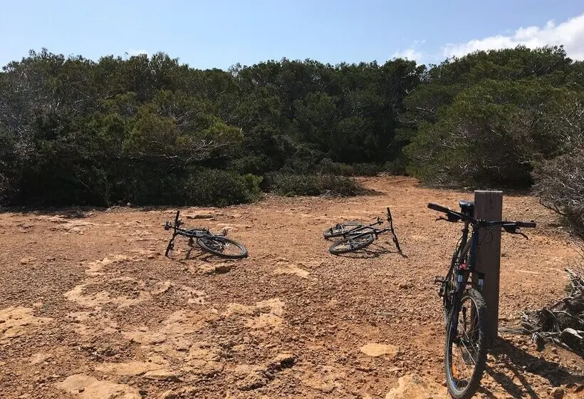 Fotos del hotel Tonga Tower Design  & Suites:  27