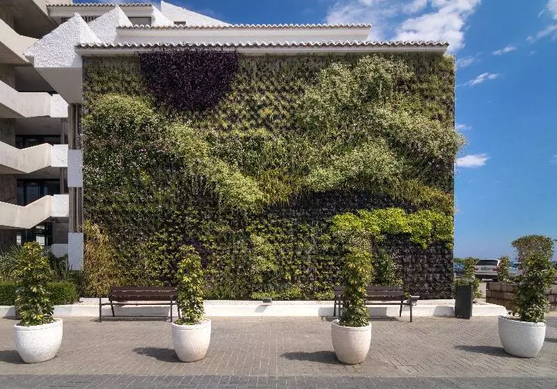 Fotos del hotel Cap Negret:  11