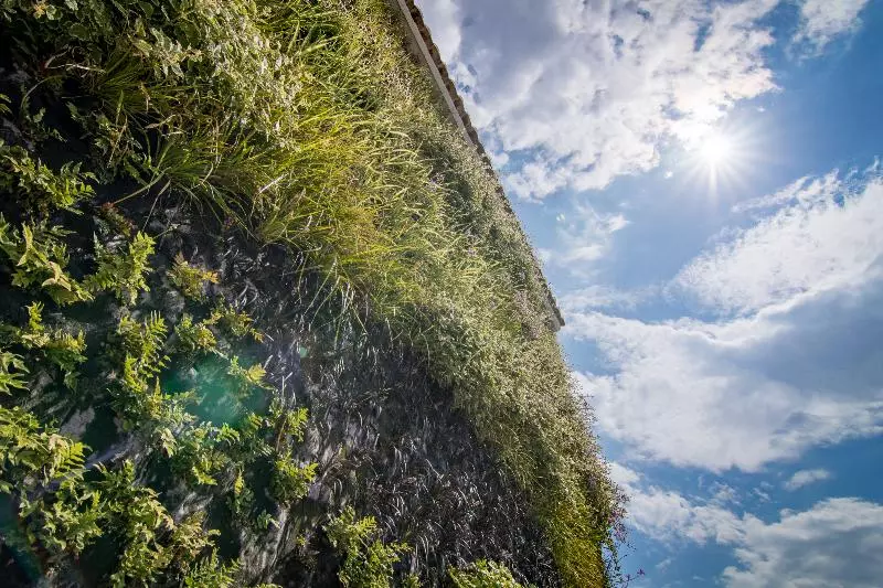 Fotos del hotel Cap Negret:  3