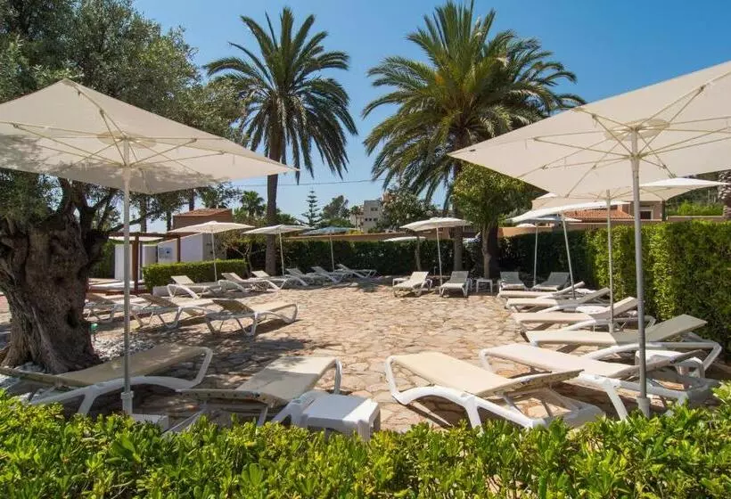 Fotos del hotel Na Taconera:  17