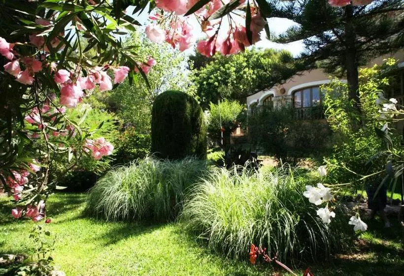 Fotos del hotel Na Taconera:  25