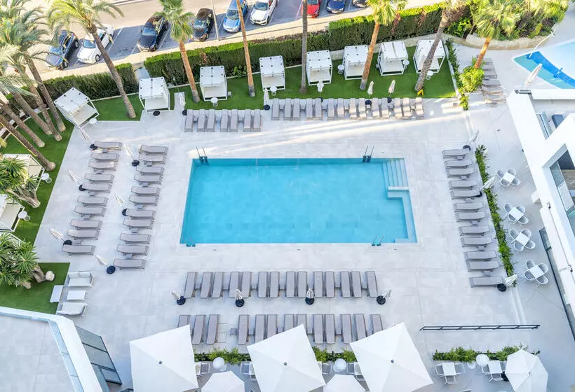 Fotos del hotel Port Alicante City & Beach:  13