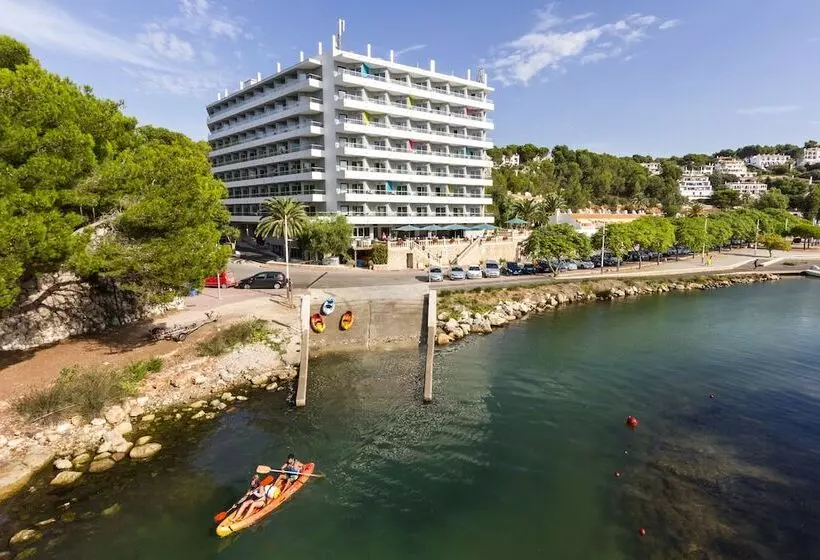 Artiem Audax  Adults Only