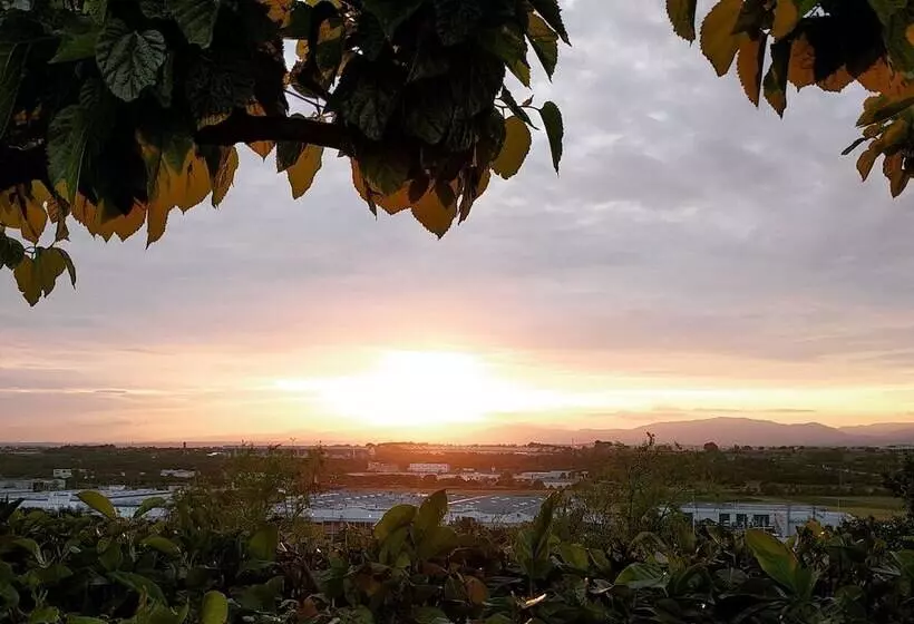 Fotos del hotel Augusta Barcelona Vallès:  4