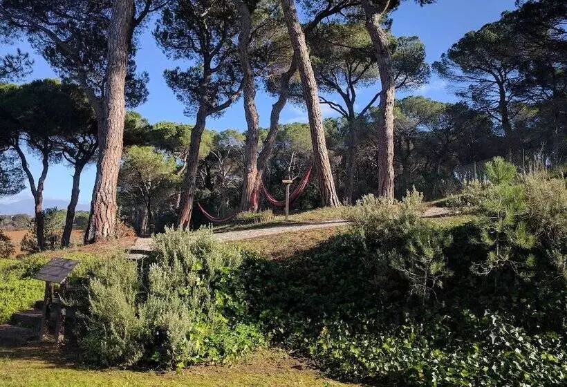 Fotos del hotel Augusta Barcelona Vallès:  10