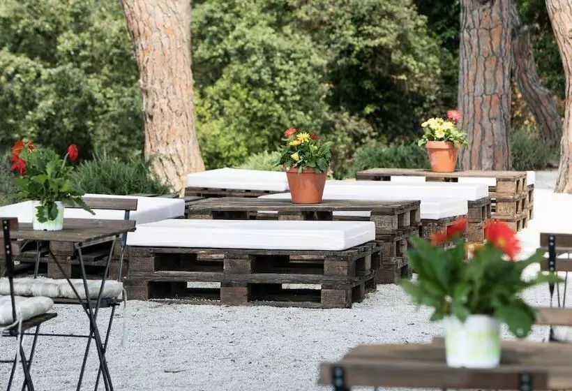 Fotos del hotel Augusta Barcelona Vallès:  6