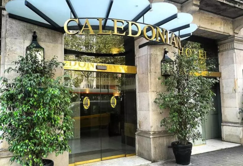 Fotos del hotel Caledonian:  4