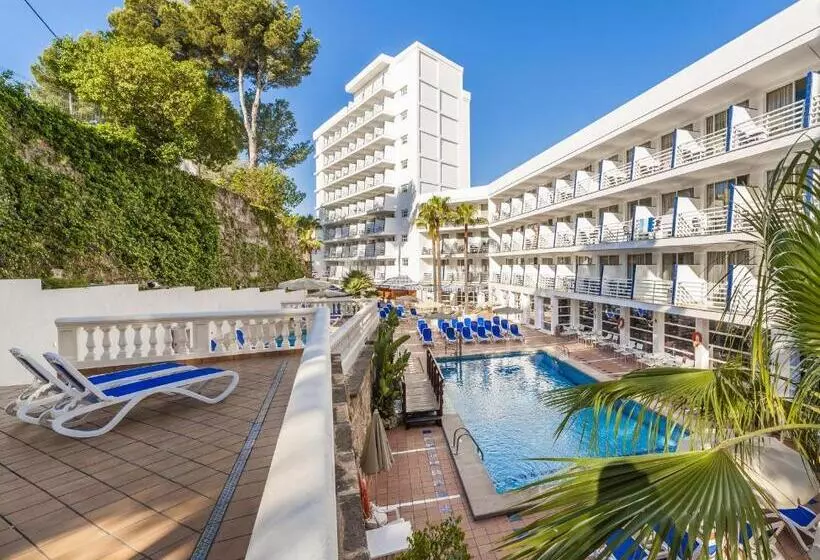 Fotos del hotel Globales Palmanova Palace:  22