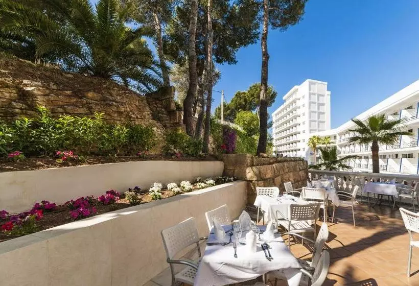 Fotos del hotel Globales Palmanova Palace:  7