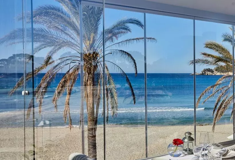 Fotos del hotel Secrets Mallorca Villamil Resort & Spa  Adults Only:  37