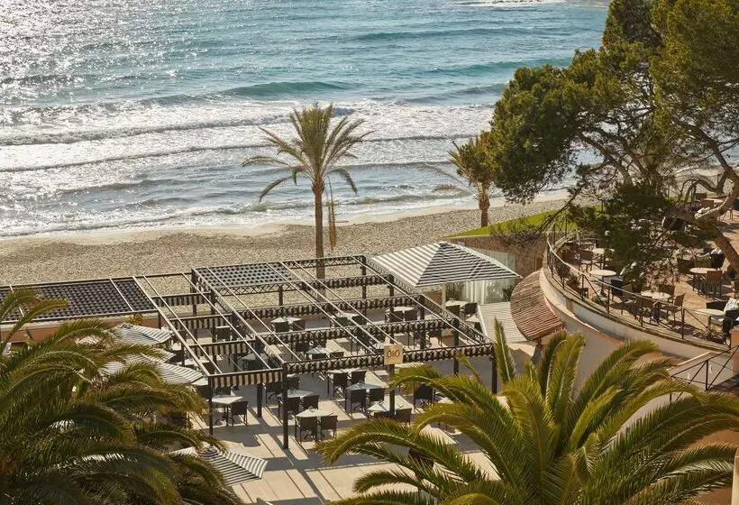 Fotos del hotel Secrets Mallorca Villamil Resort & Spa  Adults Only:  61