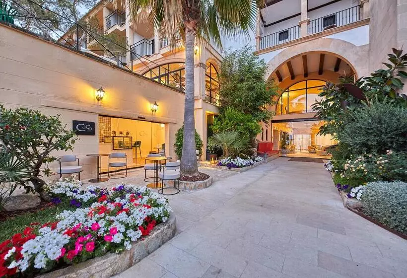 Fotos del hotel Secrets Mallorca Villamil Resort & Spa  Adults Only:  64