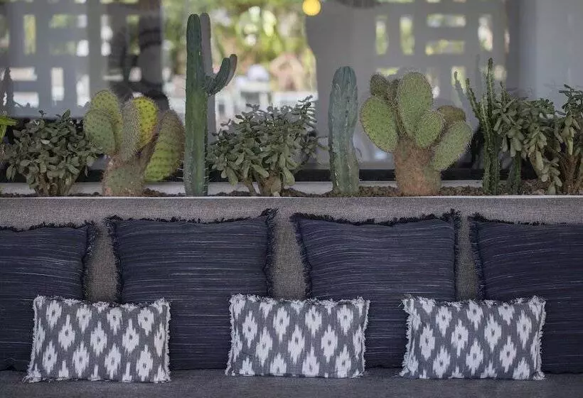 Fotos del hotel Hm Balanguera Beach - Adults Only:  15