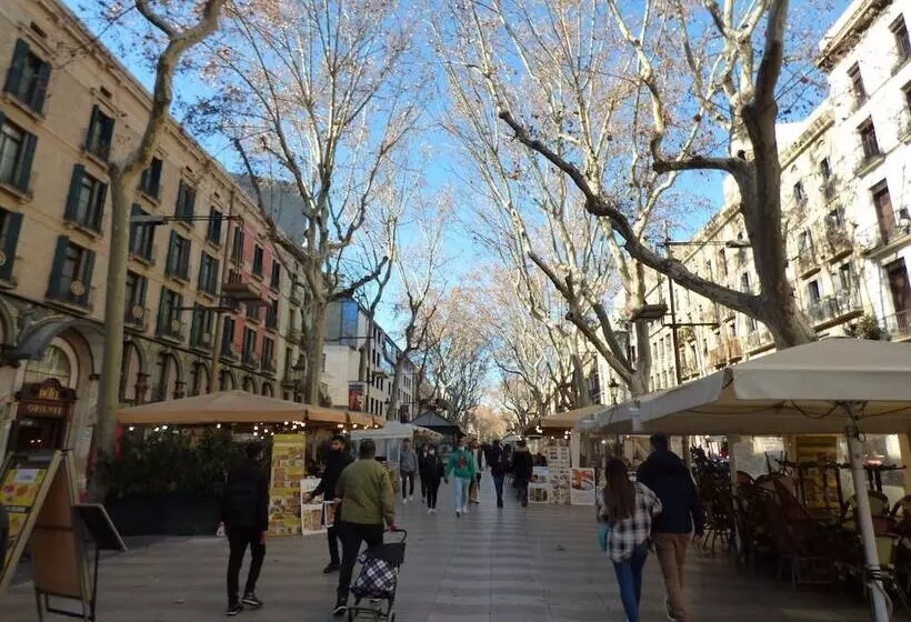 Fotos del hotel Moderno:  13