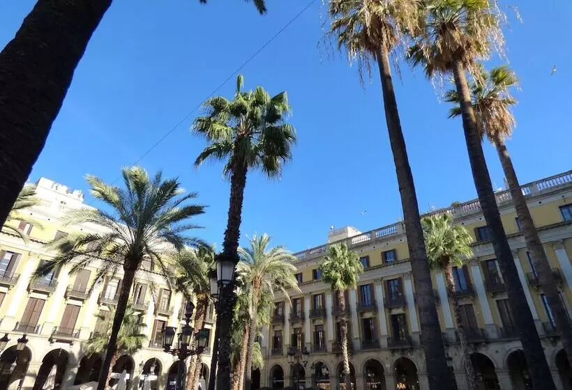 Fotos del hotel Moderno:  7