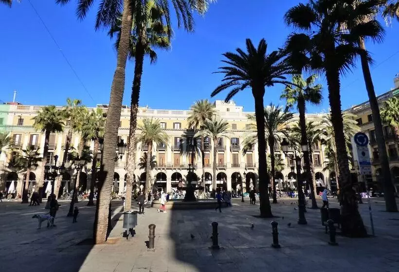 Fotos del hotel Moderno:  14