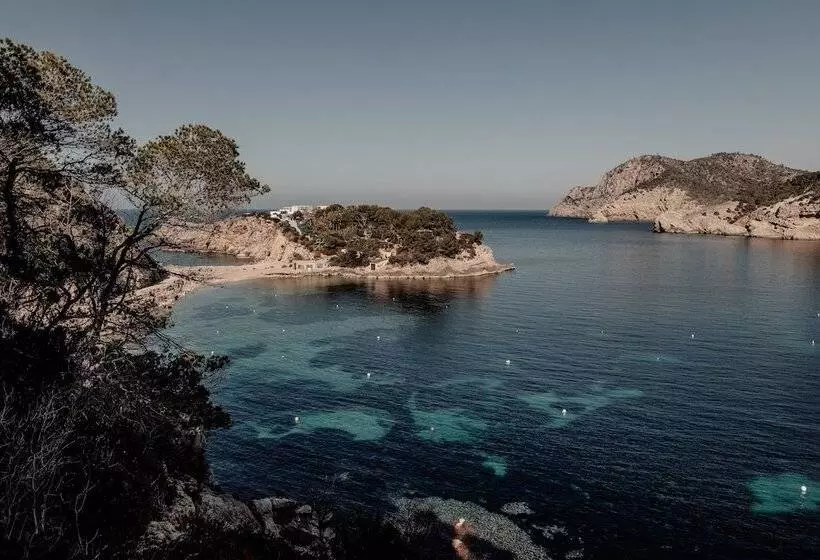 Fotos del hotel Oku Ibiza:  19