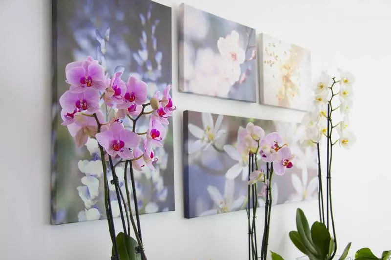 Fotos del hotel Sicania:  6