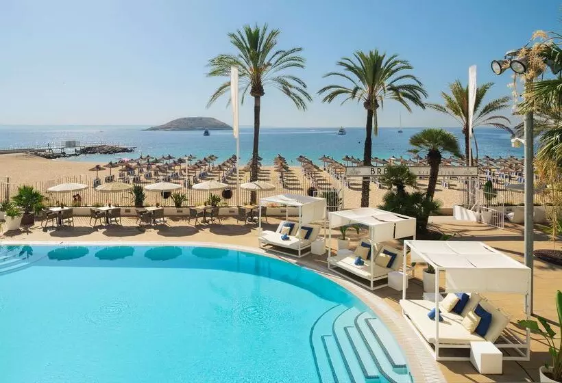 Fotos del hotel Sol House The Studio - Calviá Beach:  58