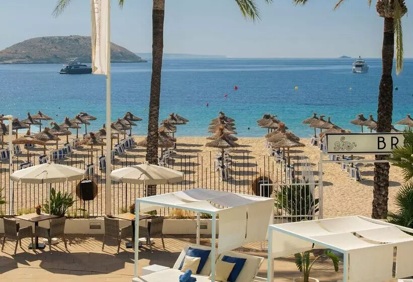 Fotos del hotel Sol House The Studio - Calviá Beach:  36