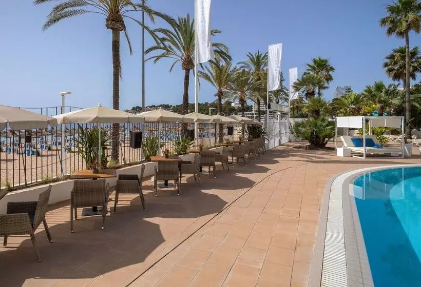 Fotos del hotel Sol House The Studio - Calviá Beach:  59