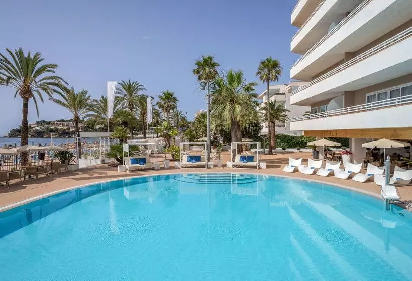 Fotos del hotel Sol House The Studio - Calviá Beach:  57