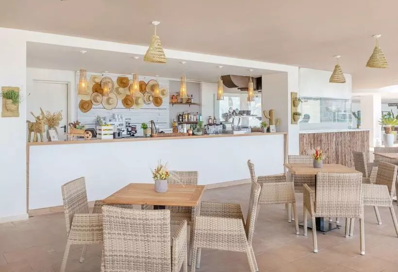 Fotos del hotel Sol House The Studio - Calviá Beach:  60