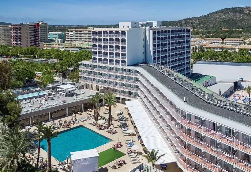 Fotos del hotel Sol House The Studio - Calviá Beach:  50