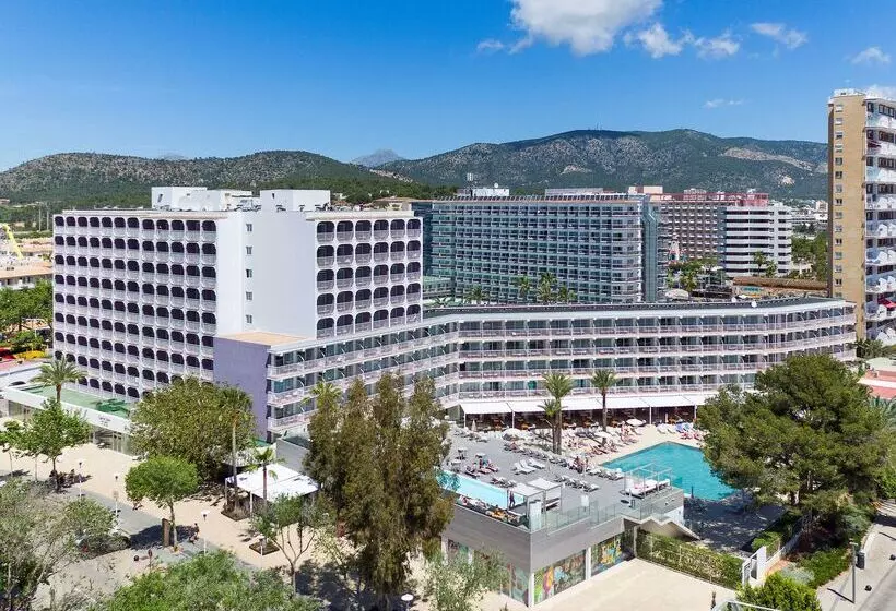 Fotos del hotel Sol House The Studio - Calviá Beach:  66