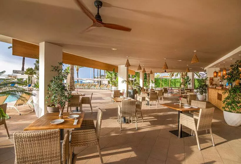 Fotos del hotel Sol House The Studio - Calviá Beach:  42