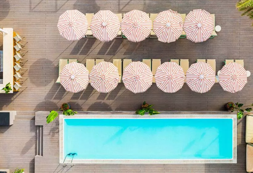 Fotos del hotel Sol House The Studio - Calviá Beach:  12