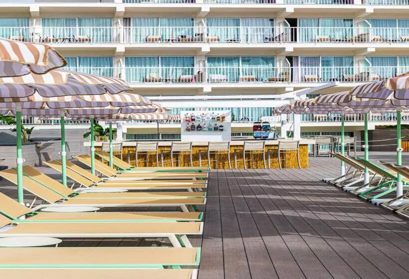 Fotos del hotel Sol House The Studio - Calviá Beach:  44