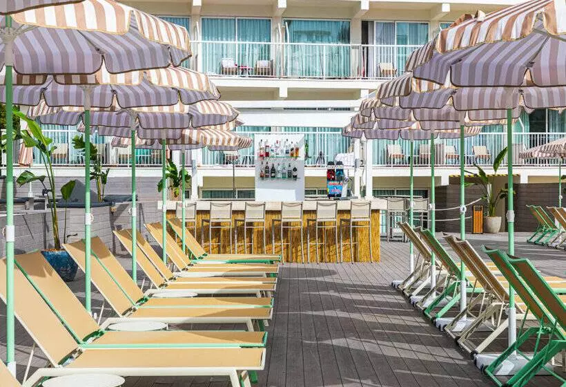 Fotos del hotel Sol House The Studio - Calviá Beach:  39