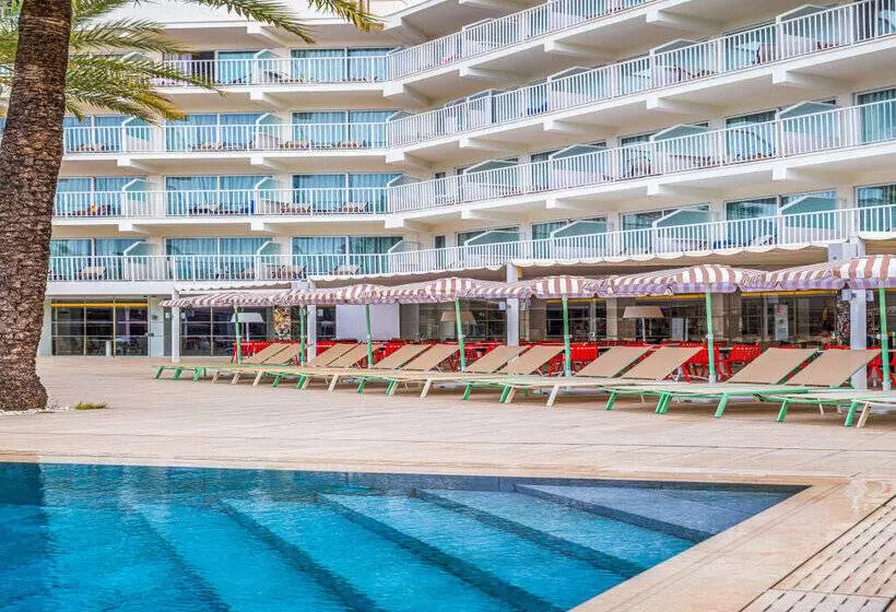 Fotos del hotel Sol House The Studio - Calviá Beach:  38